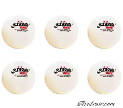 توپ پینگ پنگ DHS بسته 6عددی 2 ستاره