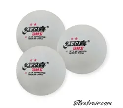 توپ پینگ پنگ DHS بسته 6عددی 2 ستاره