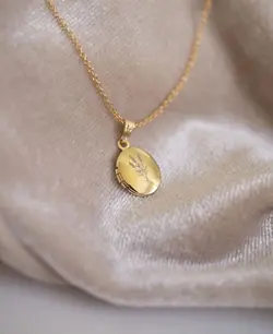 لاکت قاب عکس دامله