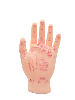 مولاژ دست 15 سانتی