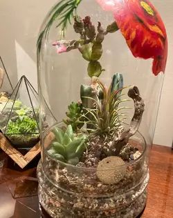 تراریوم ولنتاین مدل 022