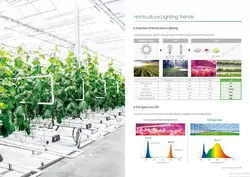 پروژکتور ال ای دی رشد گیاه 250 وات جنتو اوو چیپ سامسونگ | Samsung Horticulture Gen2 Evo LM301H + LH351H Full Spectrum Led Plant Lamp