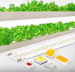 پروژکتور ال ای دی رشد گیاه 250 وات جنتو اوو چیپ سامسونگ | Samsung Horticulture Gen2 Evo LM301H + LH351H Full Spectrum Led Plant Lamp