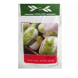 بذر کاهو ژاپنی وانیا