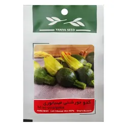 بذر کدو خورشتی مینیاتوری