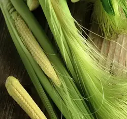 بذر بیبی ذرت زرد