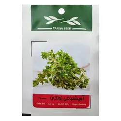 بذر آویشن باغی ولگار