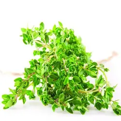 بذر آویشن باغی ولگار