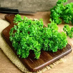 بذر جعفری فر