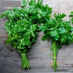 بذر جعفری پیچ