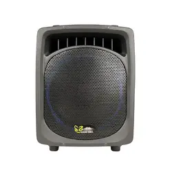 اکو همراه برین صوت Barin Sout 12200