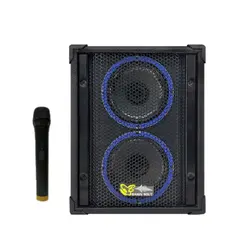 اکو همراه بیسیم برین صوت Barin Sout 2660