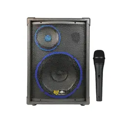 اکو همراه بیسیم برین صوت Barin Sout 12250