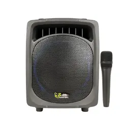 اکو همراه بیسیم برین صوت Barin Sout 12200