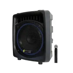 اکو همراه بیسیم برین صوت Barin Sout 12200