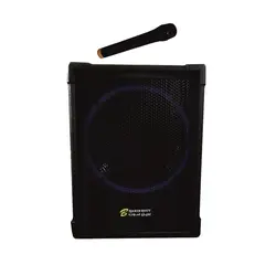 اکو همراه بیسیم برین صوت Barin Sout 12150