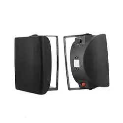 بلندگو دکوراتیو فونیکس Phoenix PH-225T