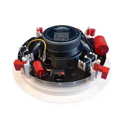 بلندگو سقفی توکار آسیا امپ Aap Pro PA-3G-108S