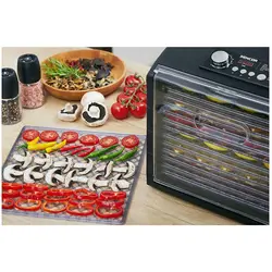 میوه و سبزی خشک کن سنکور مدل SFD6600