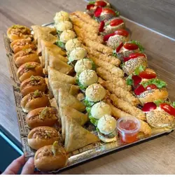 سینی فینگر فود کد 1023