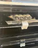 تاکنوگازامپراطورلعاب