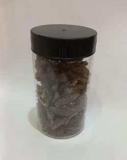 چیپس خرما خنیزی