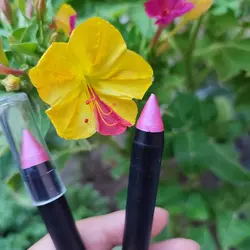 رژ لب مدادی گیاهی مداد آرایشی - طبیب خاص