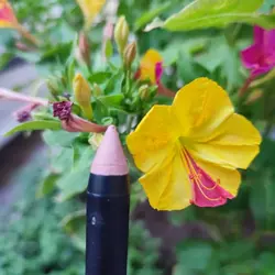 رژ لب مدادی گیاهی مداد آرایشی - طبیب خاص