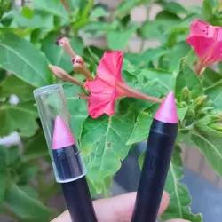 رژ لب مدادی گیاهی مداد آرایشی - طبیب خاص