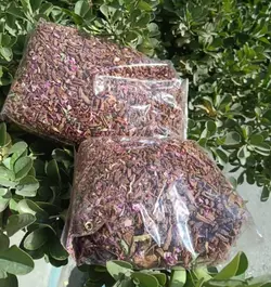 چای میوه ای سیباگل سیب به خرما گل محمدی و هل دمنوش سیباگل طبیب خاص - طبیب خاص