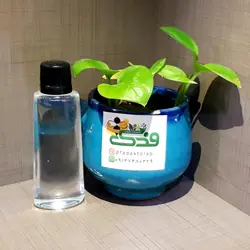 روغن گلیسیرین فدک (کاهش زبری پوست)