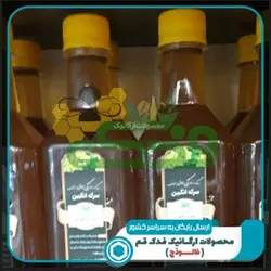 سرکه انگبین نعنایی فدک (860گرم)