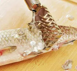 پولک گیر ماهی استیل