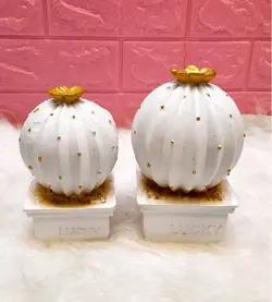 گلدان کاکتوس جفتی