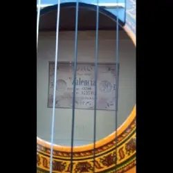 خرید گیتار کلاسیک والنسیا مدل valencia CG160 - دنیای ساز