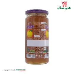 شانا مربا سیب شیشه ای 570گرم