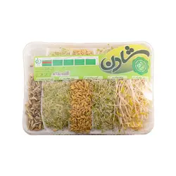 شادن جوانه میکس 300 گرم
