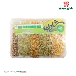 شادن جوانه میکس 300 گرم