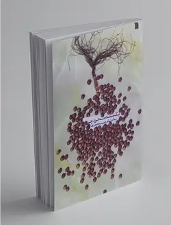 یک مشت نخودچی