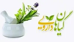 انواع داروهای گیاهی