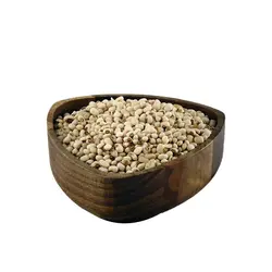 لوبیا پلویی