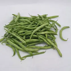 لوبیا سبز درجه یک