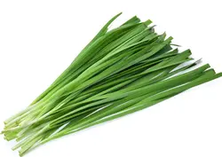 تره (تره کوهی ) تازه