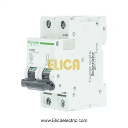 کلید مينياتوری دو پل 10 آمپر 6kA اشنایدر موتوری AC
