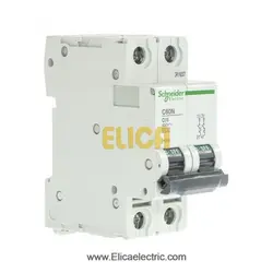 کلید مينياتوری دو پل 50 آمپر 6kA اشنایدر موتوری AC