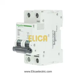 کلید مينياتوری دو پل 50 آمپر 6kA اشنایدر موتوری AC