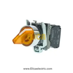 سلکتور سوئیچ اشنایدر فلزی دو حالته ماندگار با ولتاژ 24 ولت AC و DC