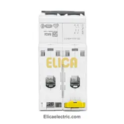 کلید مينياتوری دو پل 10 آمپر 6kA اشنایدر موتوری AC