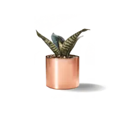 پایه کیک سنگی