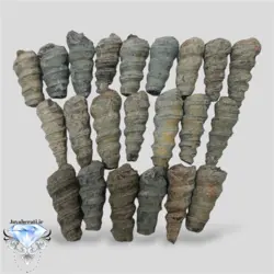 عرج جبلی (کوهی) اصیل ومعدنی سایزبزرگ